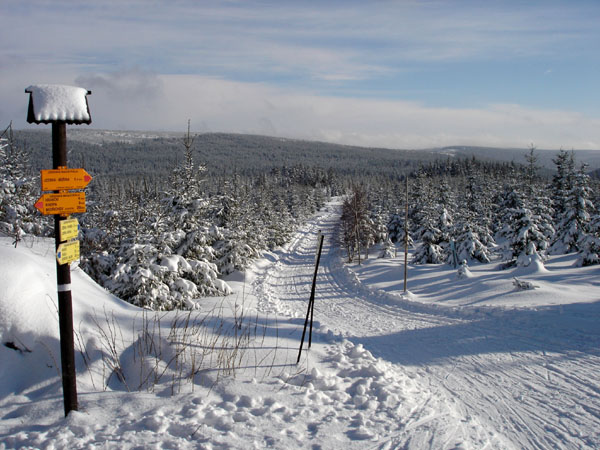 Rozcestí s promenádní.jpg